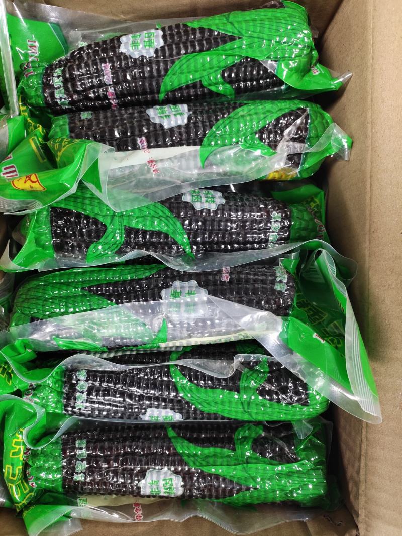 青玉黑糯玉米