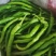 产地直供，精品小米椒，线椒，泡椒，美人椒长期供货