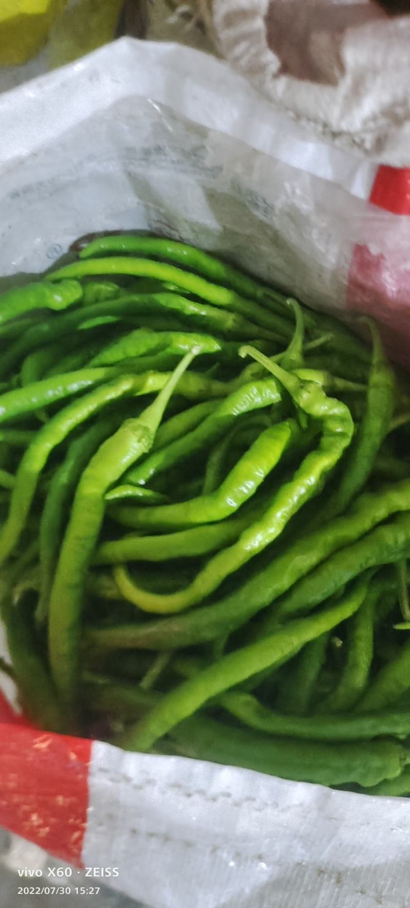 产地直供，精品小米椒，线椒，泡椒，美人椒长期供货