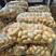 土豆优质荷兰十五土豆，产地一手货源，基地直供，质量保证