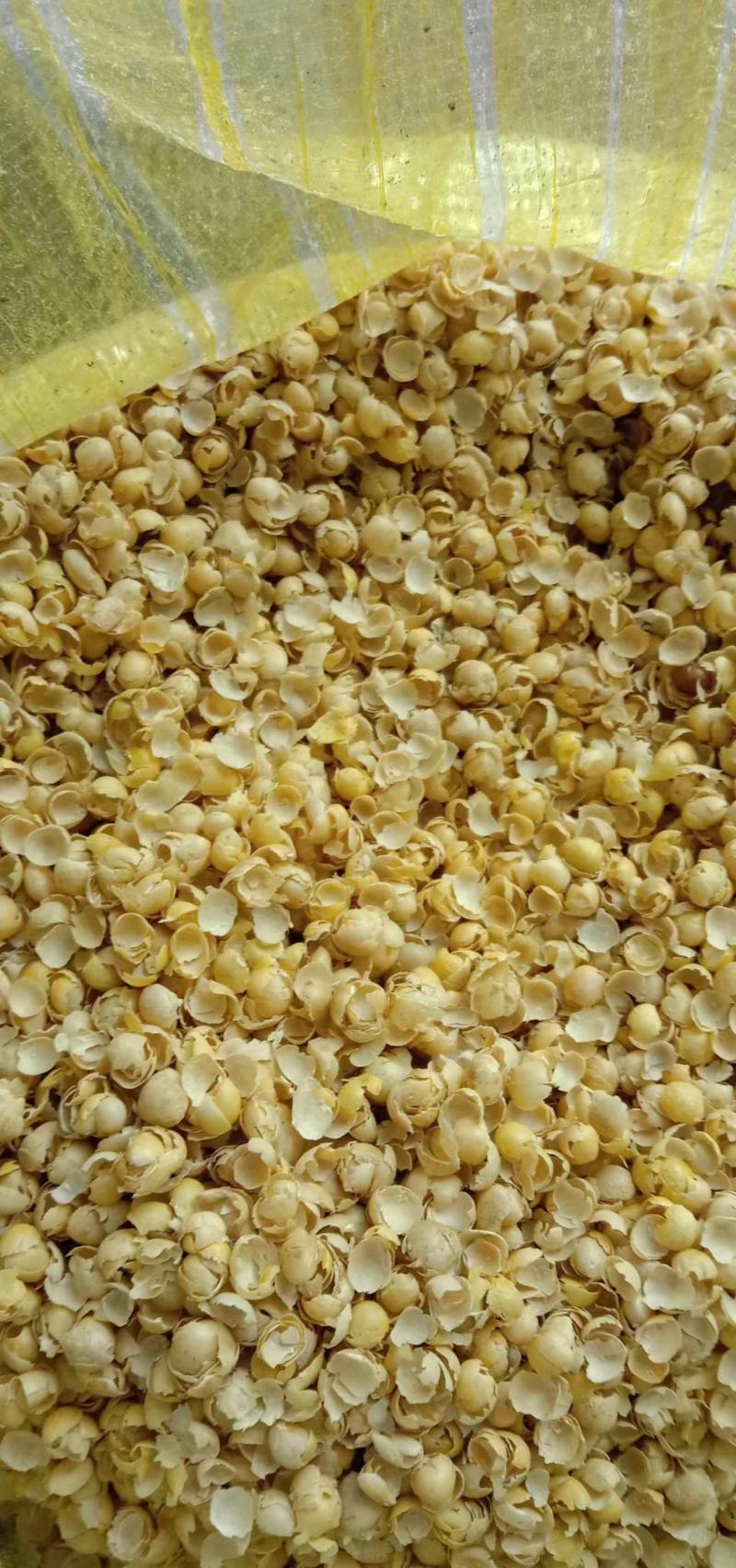 黄豆壳，无杂质干净蛋白高