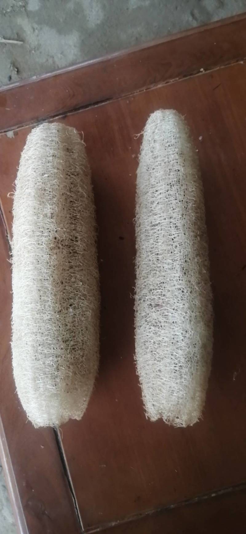 农家种植丝瓜络批发