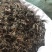 精选野生藤茶霉茶