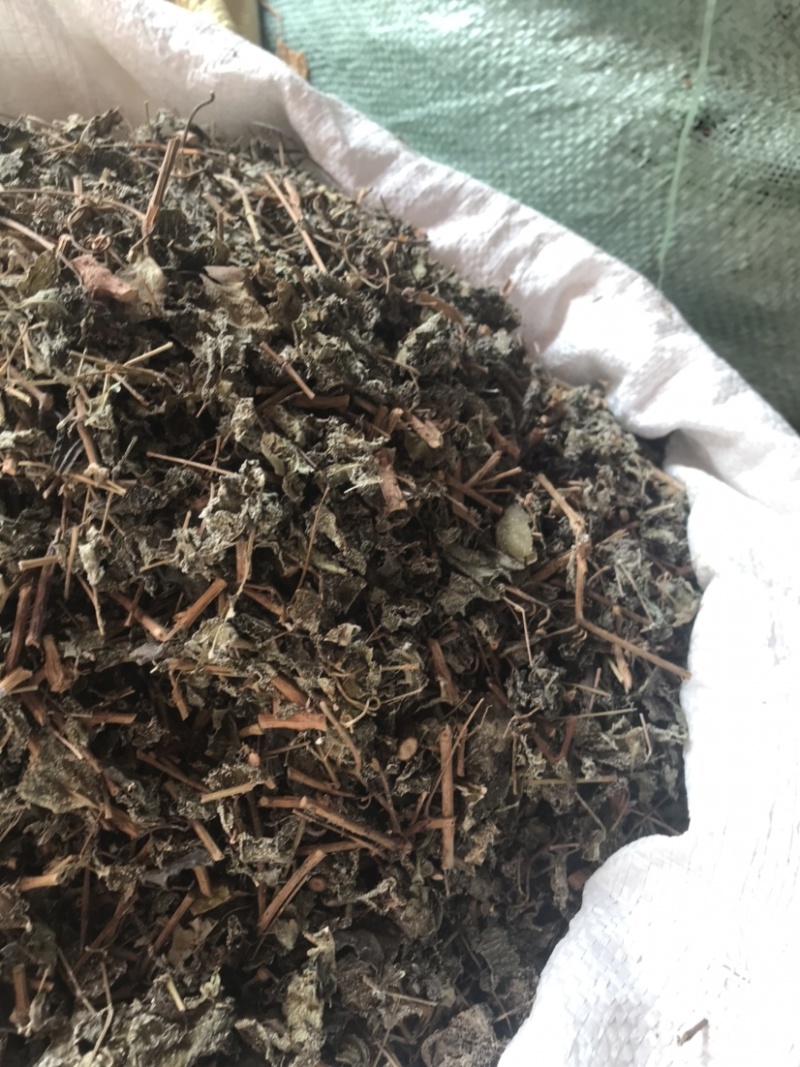 精选野生藤茶霉茶