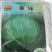精品甘蓝苗，结球稳定，高抗叶斑病，产量高，免费技术指导