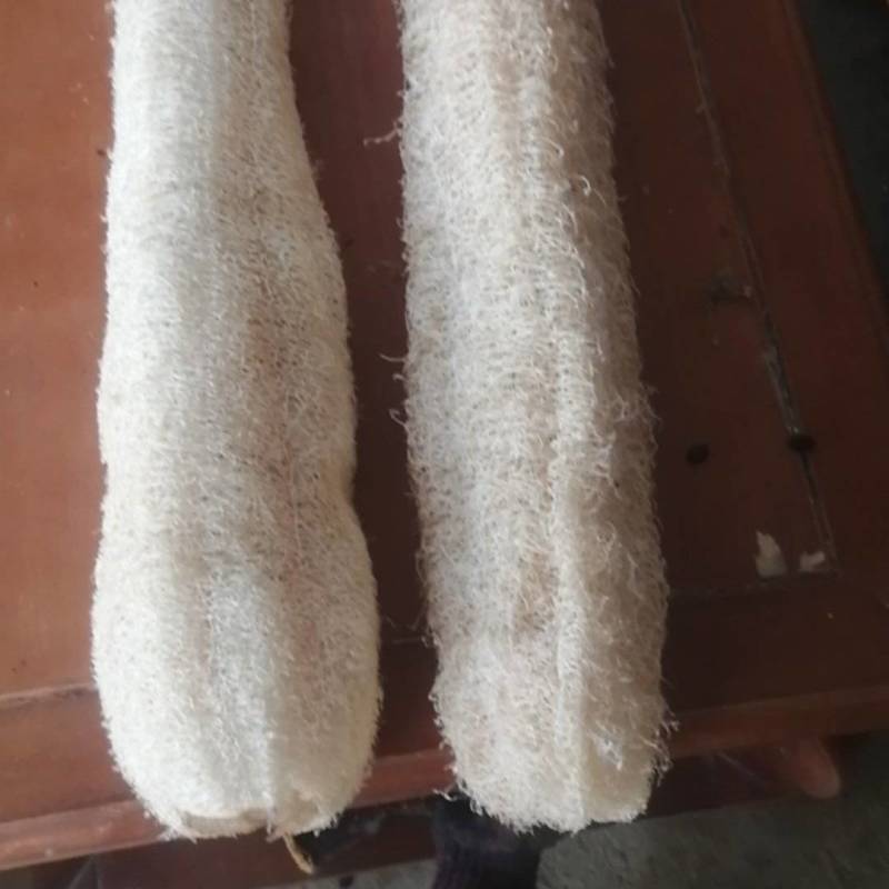 农家种植丝瓜络软性批发价