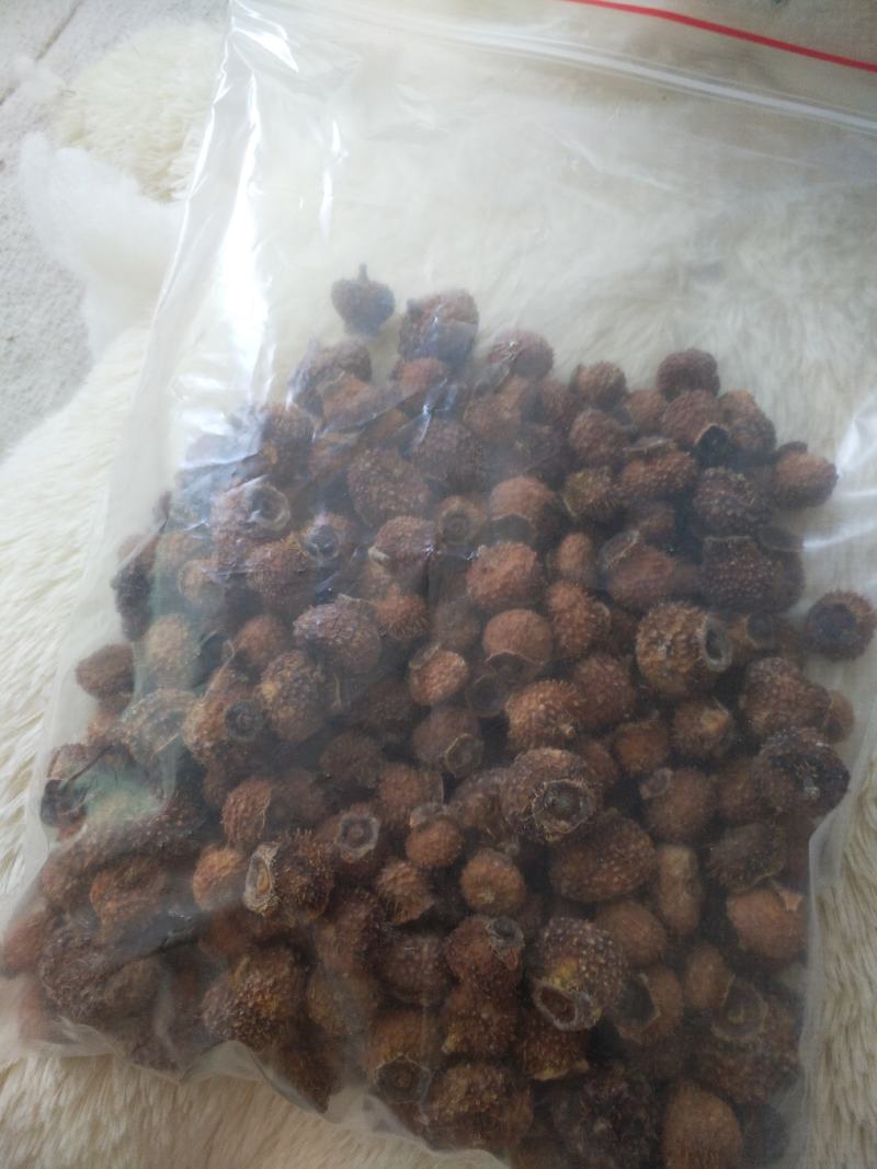 野生刺梨含量高，蹲点收购，大货详谈