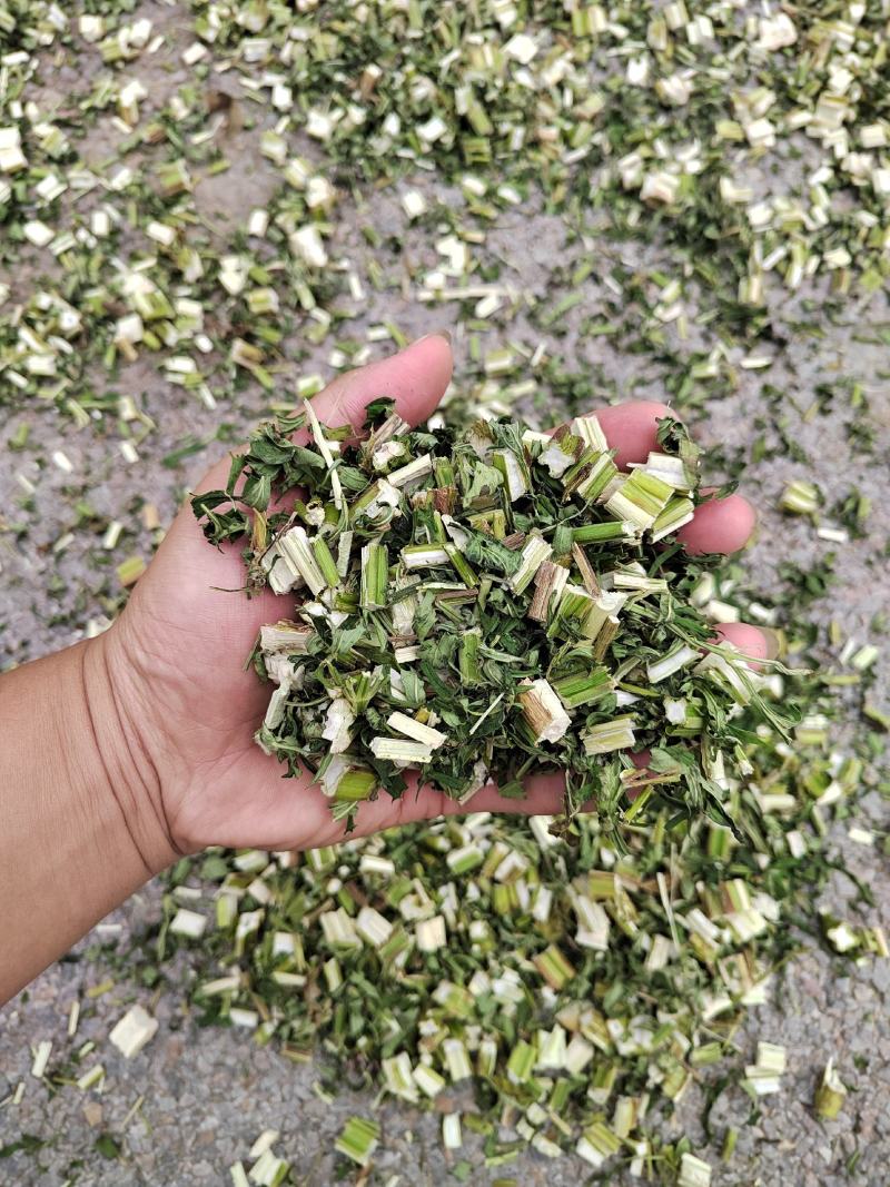 益母草坤草新货大量上市产地代收代发大量有货
