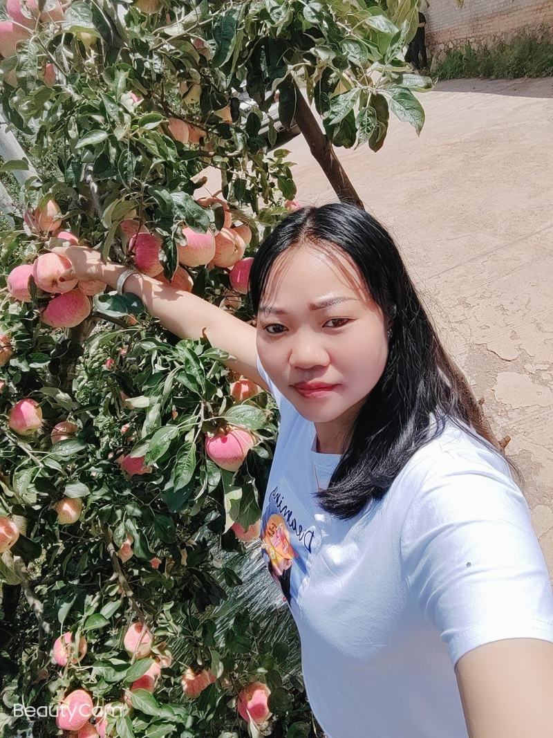欢迎各位老板的光临昭阳区洒一镇早熟苹果，德国红心已上市。