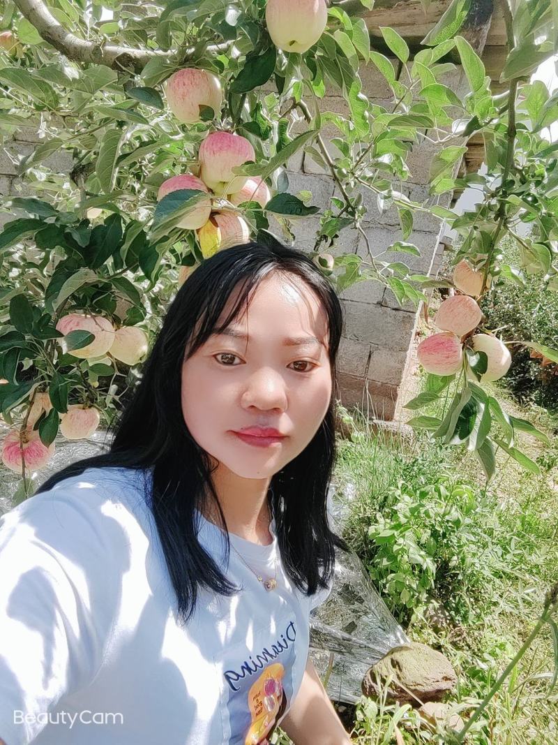 欢迎各位老板的光临昭阳区洒一镇早熟苹果，德国红心已上市。