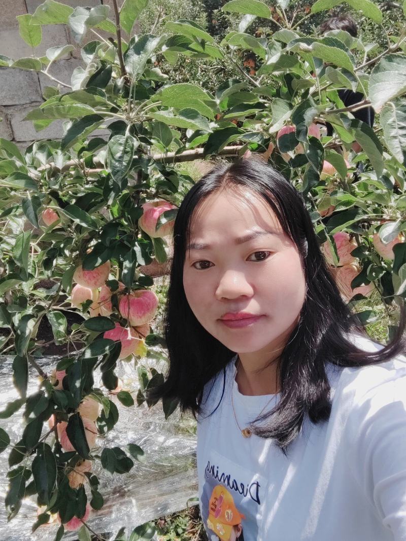 欢迎各位老板的光临昭阳区洒一镇早熟苹果，德国红心已上市。