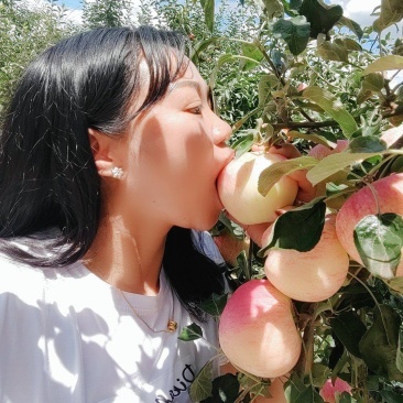 欢迎各位老板的光临昭阳区洒一镇早熟苹果，德国红心已上市。