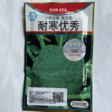 耐寒优秀西兰花种子进口品种杂交一代品种种子
