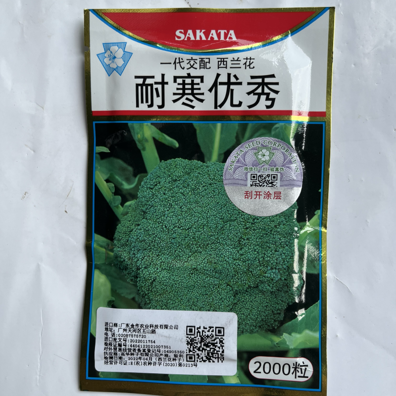 耐寒优秀西兰花种子进口品种杂交一代品种种子