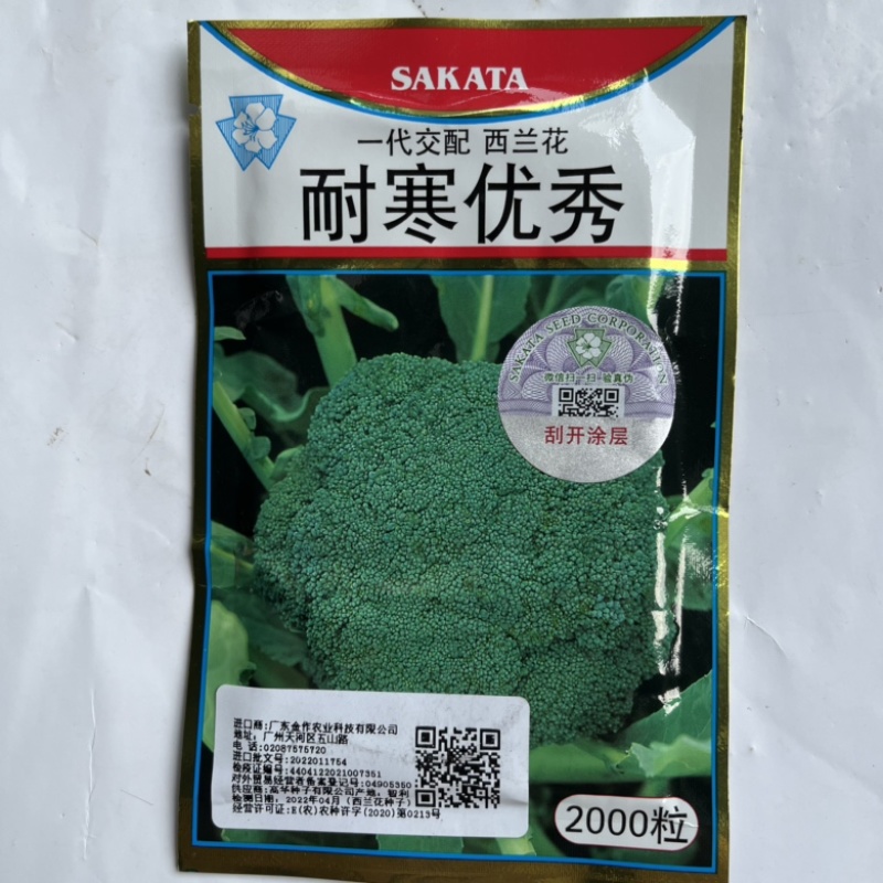 耐寒优秀西兰花种子进口品种杂交一代品种种子