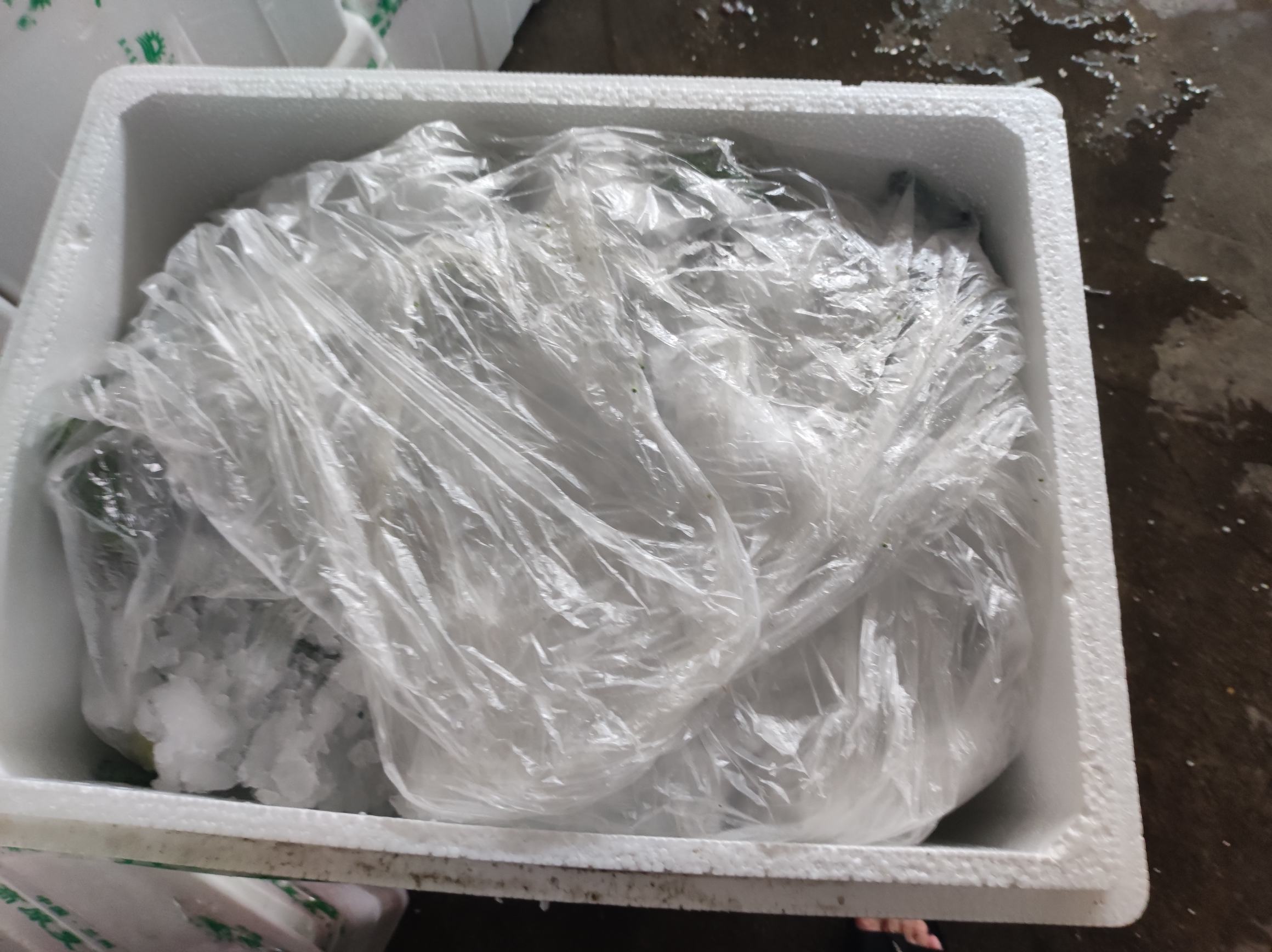 西兰花放入保鲜袋冷藏