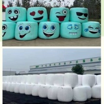高湿发酵玉米