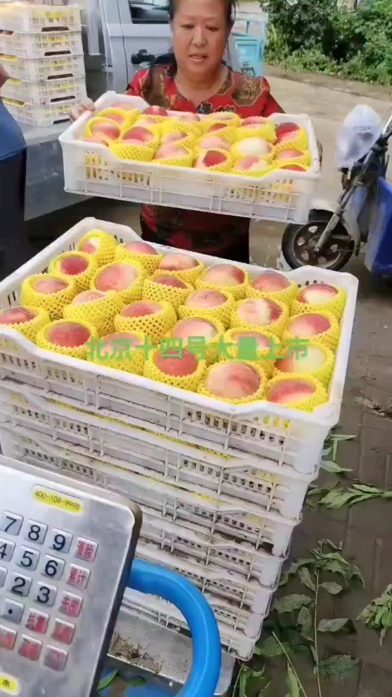 北京十四号