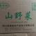 速冻灰灰菜，量大从优，厂家直销，原产地，欢迎来电咨询