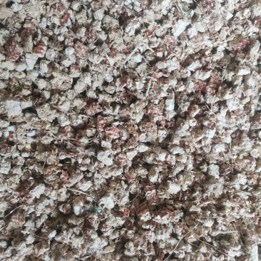 玉米芯颗粒压缩包出售中