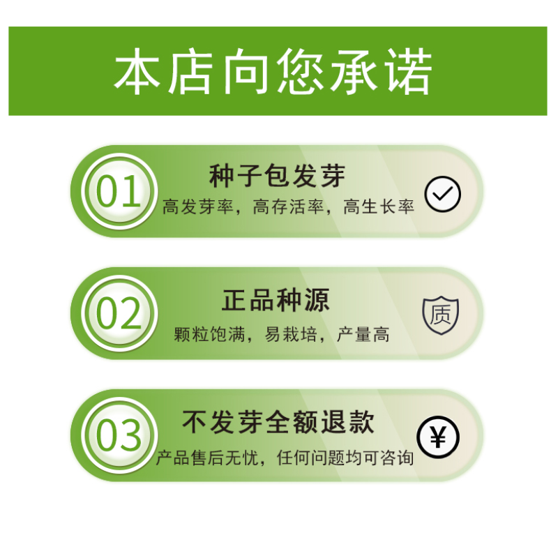 金鱼草种子龙头花室内阳台盆栽室外庭院春秋四季播开花易活花