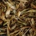 青辣椒粉青椒粉白胡椒填充物辣椒粉