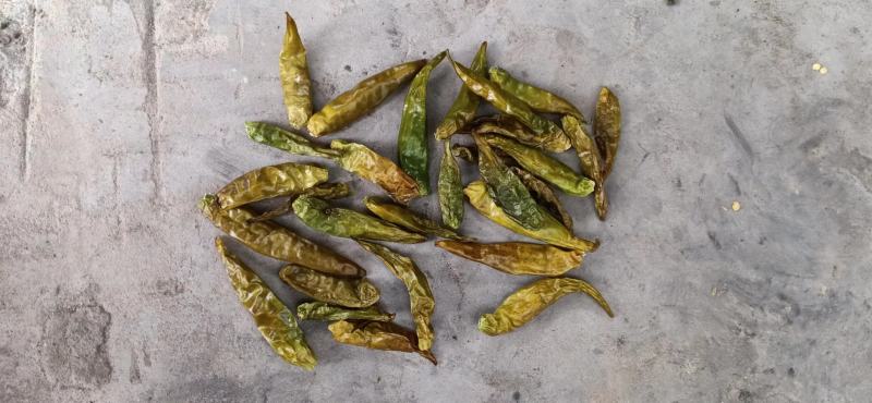 青辣椒粉青椒粉白胡椒填充物辣椒粉