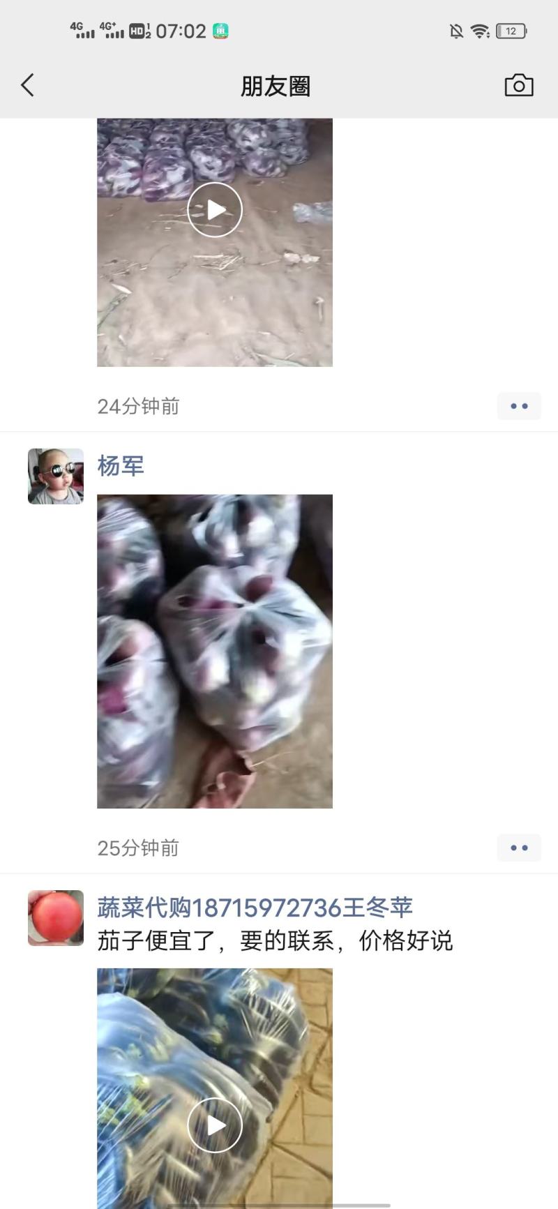 茄子