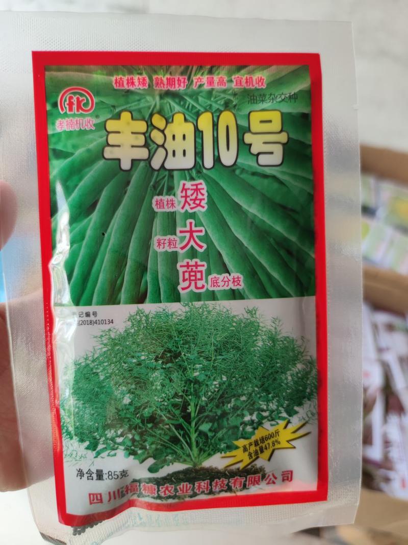 丰油10号杂交油菜种子，高产600斤植株矮颗粒大