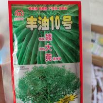 丰油10号杂交油菜种子，高产600斤植株矮颗粒大