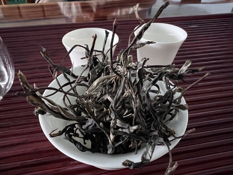 易武百花潭