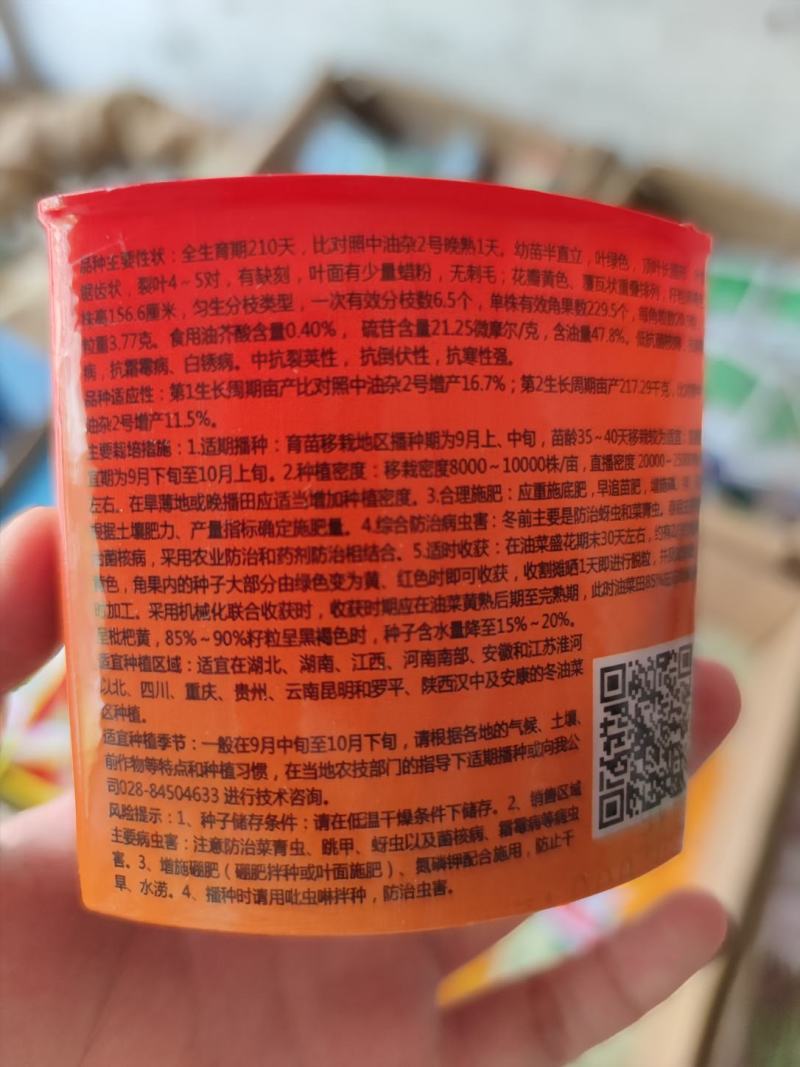 高产油菜杂交油菜种子孝核杂737，85克，结荚密，易机收