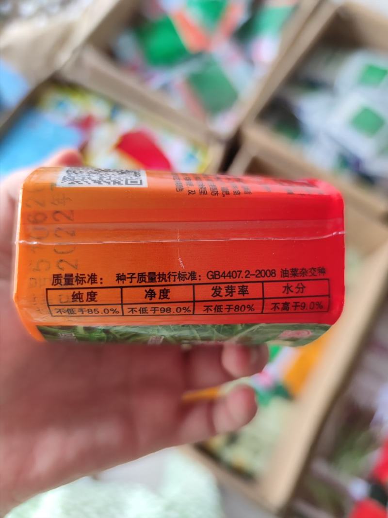 高产油菜杂交油菜种子孝核杂737，85克，结荚密，易机收