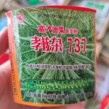 高产油菜杂交油菜种子孝核杂737，85克，结荚密，易机收