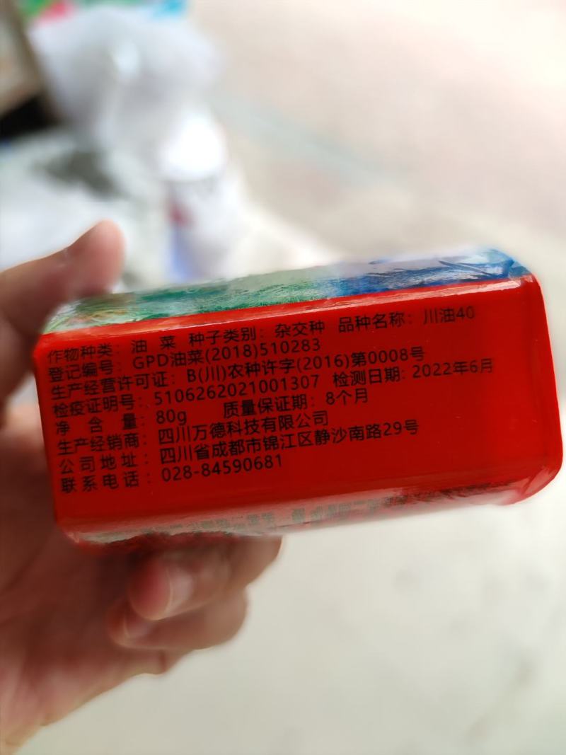 川油40油菜种子包衣，矮杆实心杆，抗病高产春秋两播