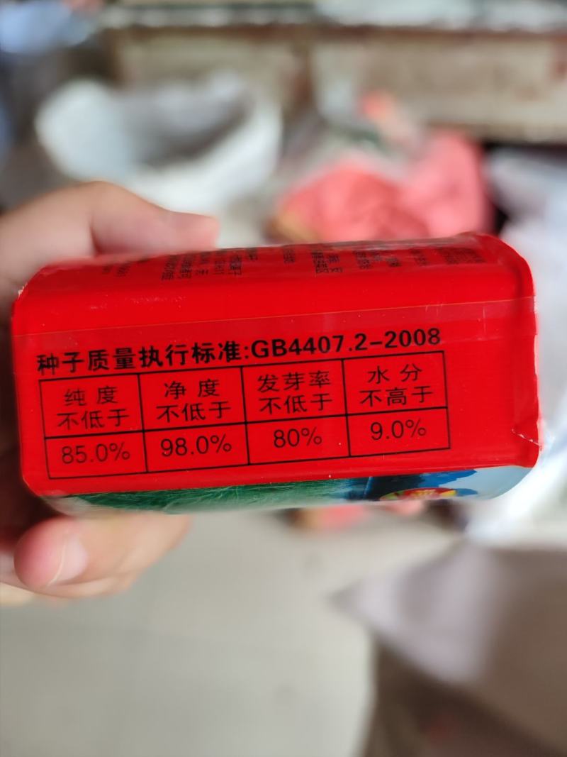川油40油菜种子包衣，矮杆实心杆，抗病高产春秋两播