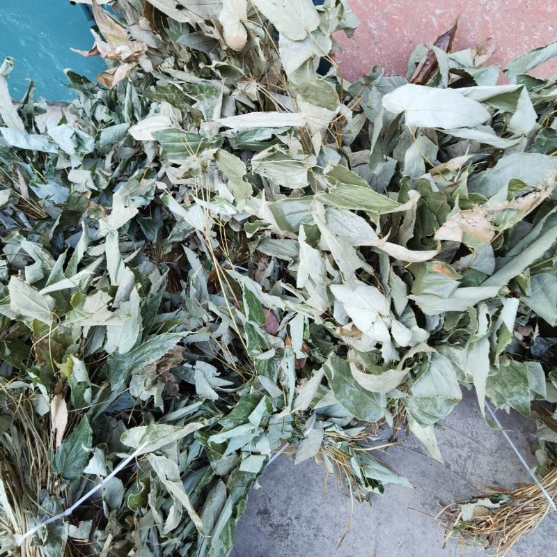 无根淫羊藿扎把全干货，带根带叶淫羊藿干货