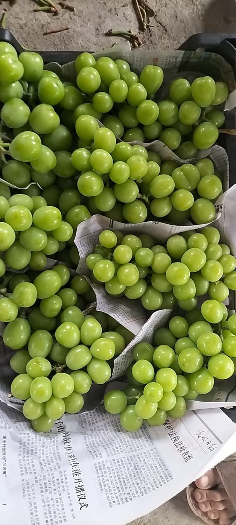 三级