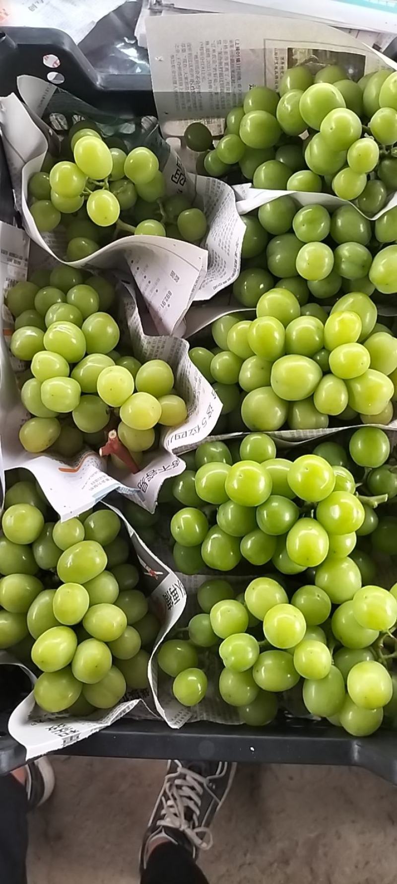 三级