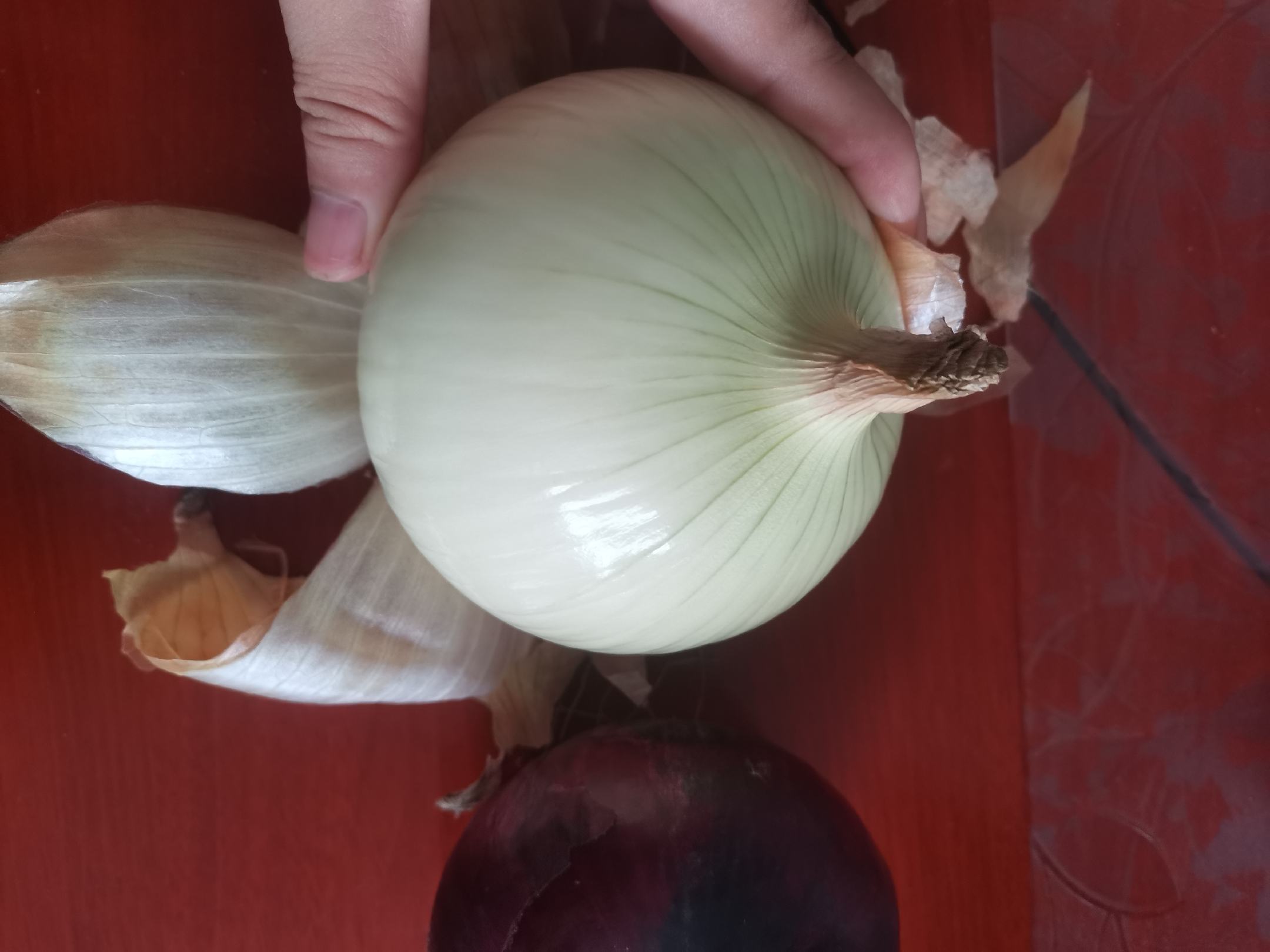 白洋葱与紫洋葱对比图