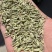 【小茴香】甘肃基地发货调味品小茴香品质好价格优