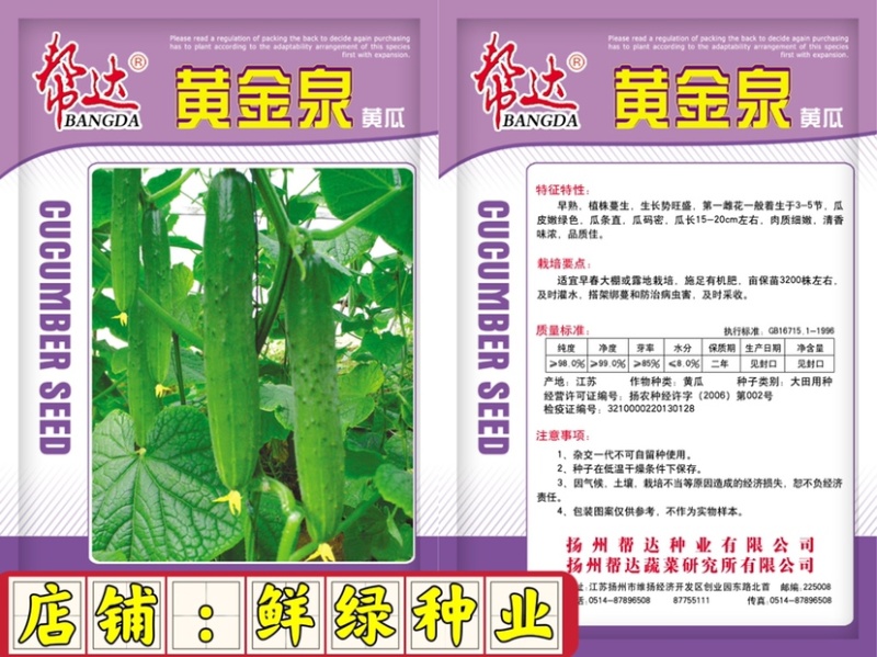 黄金泉黄瓜，杂交一代，小黄瓜，品质好，可作为水果黄瓜