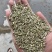 民勤小茴香，一手货源，常年有货，物美价廉。