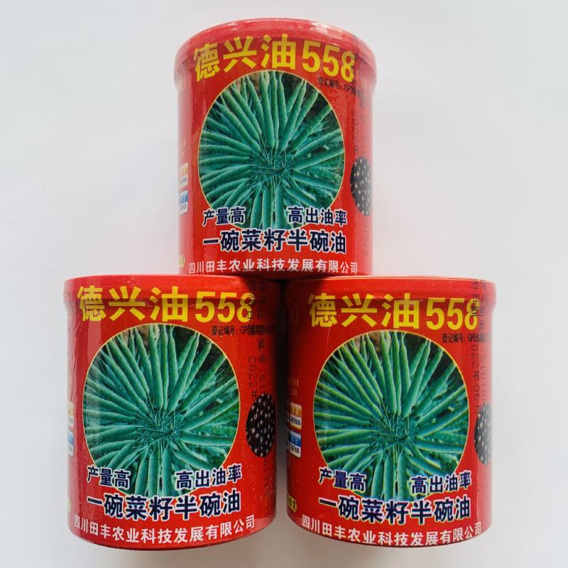新采油菜种子高产榨油观赏油菜籽食用耐种子高产油菜种籽