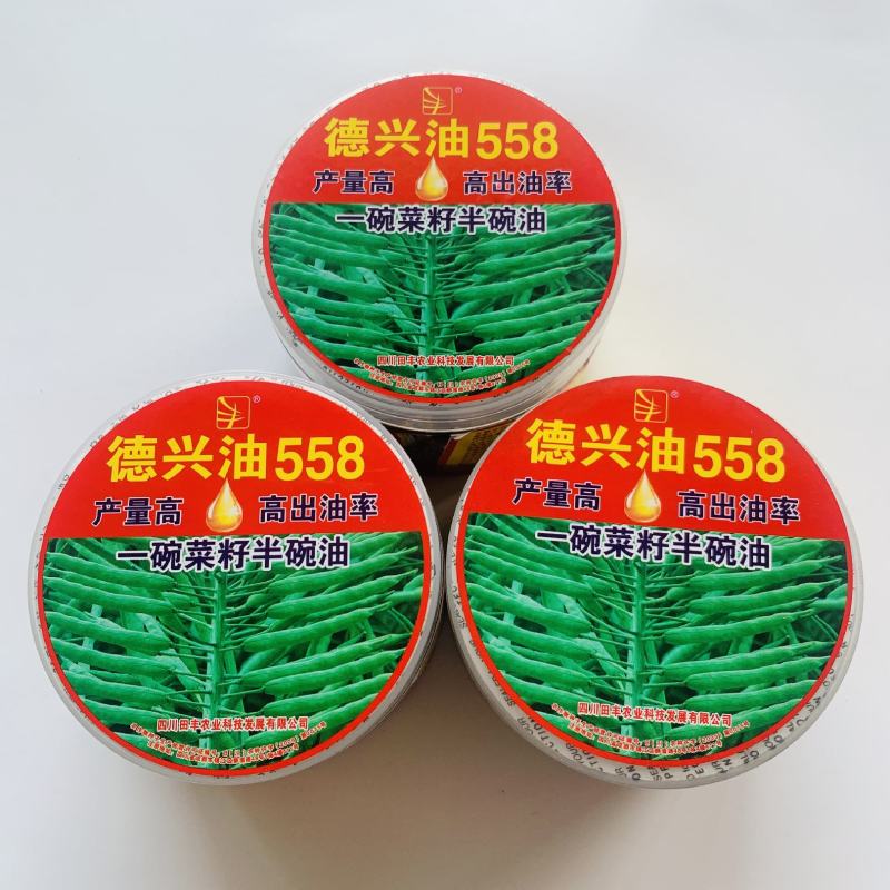 新采油菜种子高产榨油观赏油菜籽食用耐种子高产油菜种籽