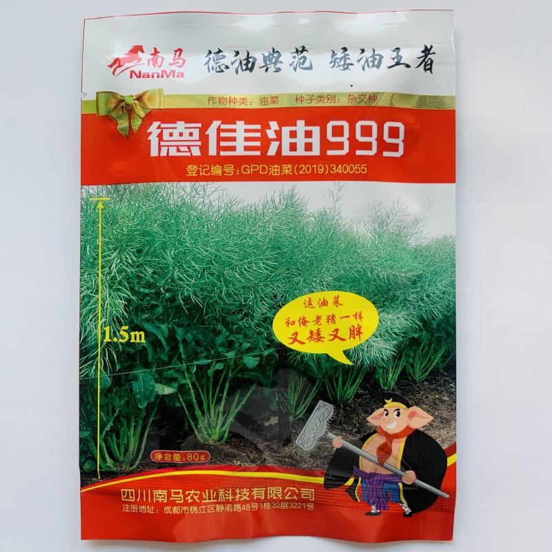 新采油菜种子高产榨油观赏油菜籽食用耐种子高产油菜种籽