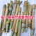 无毛甜象草3号种节皇竹草巨菌草红象草种子多年生耐寒牧草