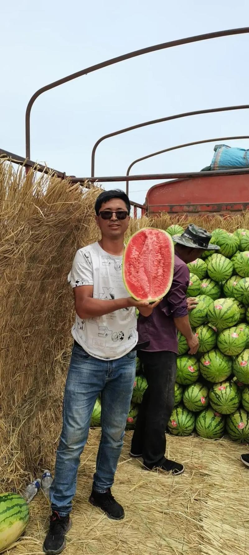 【诚信商家】宁夏硒砂瓜石头西瓜沙瓤各种规格地头价欢迎老板