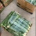 精品肉丝瓜油皮丝瓜直径20厘米以上口感