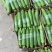 精品肉丝瓜油皮丝瓜直径20厘米以上口感